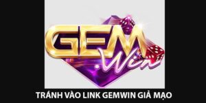 link-gemwin (3)